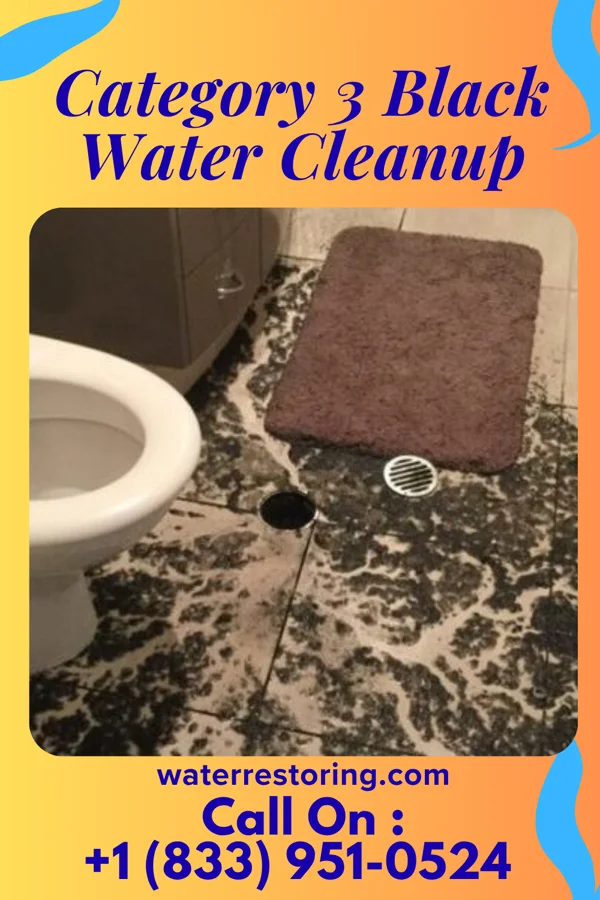Category 3 Black Water Cleanup in Blennerhassett, WV