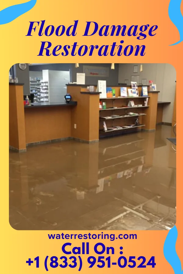 Flood Damage Restoration in Blennerhassett, WV