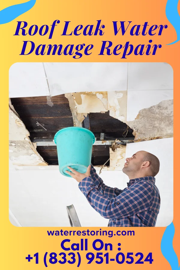 Roof Leak Water Damage Repair in Blennerhassett, WV