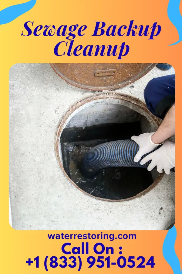 Sewage Backup Cleanup in Blennerhassett, WV