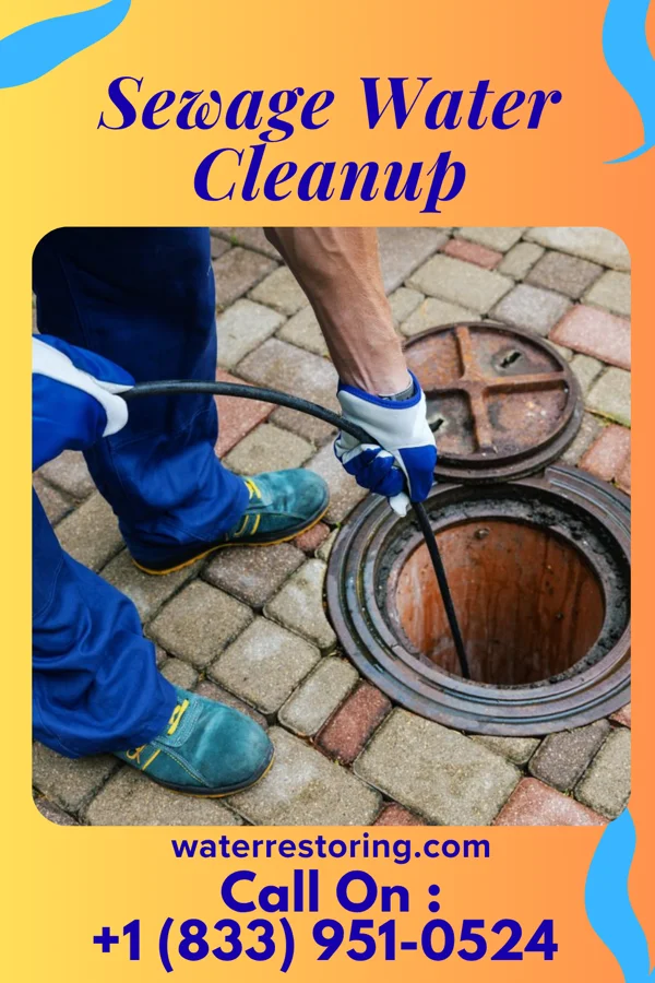 Sewage Water Cleanup in Blennerhassett, WV